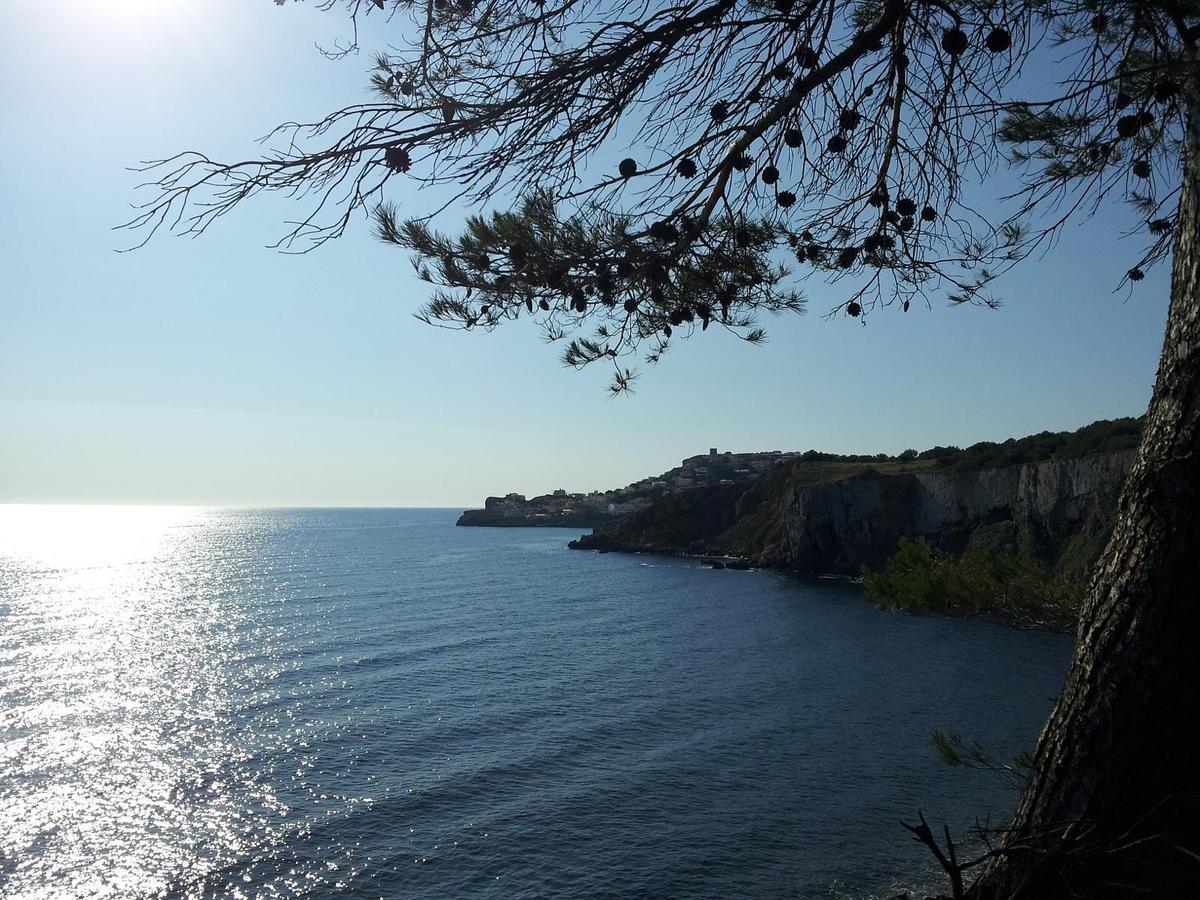 Mar Blau L'Escala 아파트 외부 사진